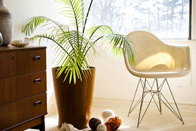decoracion