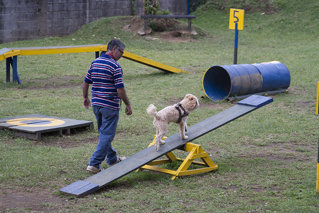 Parque Para Perros ¿ajá Hola Es Lola