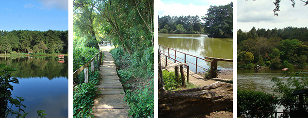 Naturaleza a 40 minutos