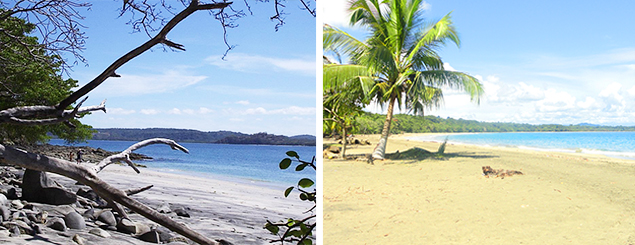 Limón vs Guanacaste