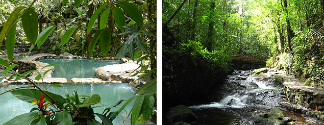 Termales del bosque, un escondite perfecto