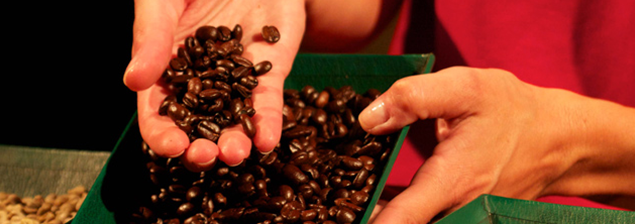 ¡Qué lindo hacer el Coffeetour!