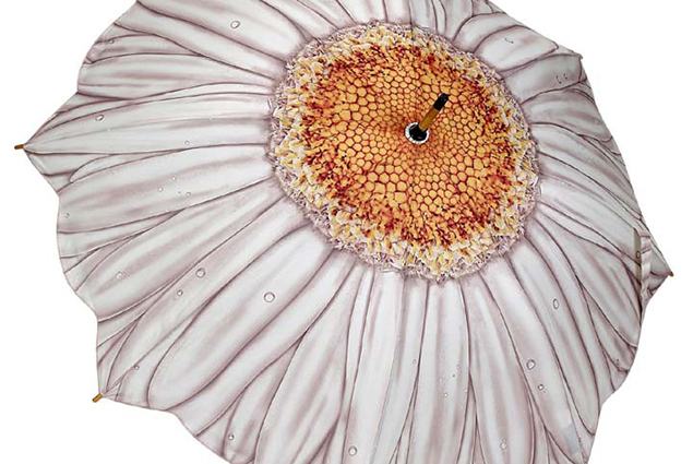 interna margarita