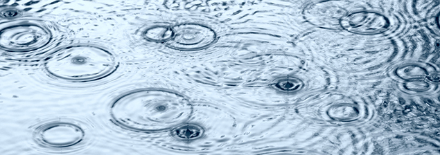 Con las lluvias ataca el DENGUE ¡auxilio!