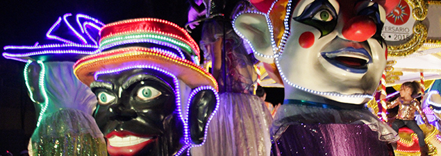 Galería Festival de la Luz 2015