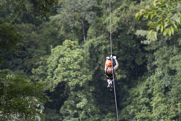 canopy