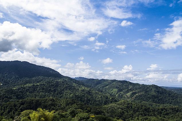 paisaje santa juana