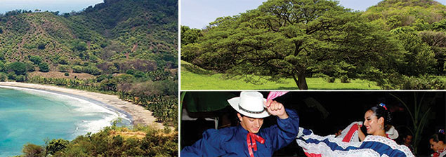 Amor puro por Guanacaste