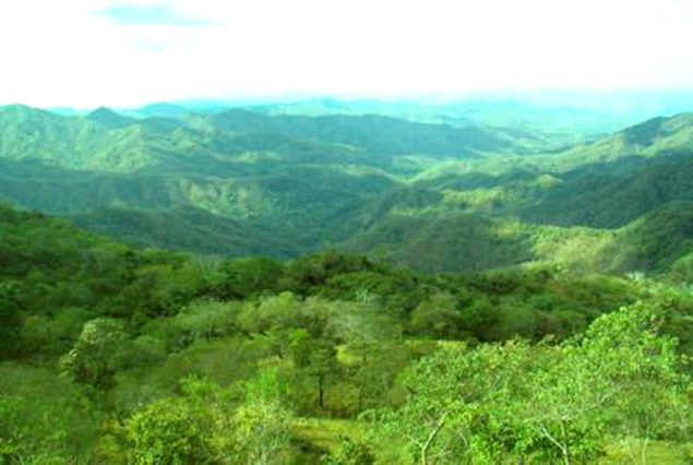 PARQUE NACIONAL DIRIA