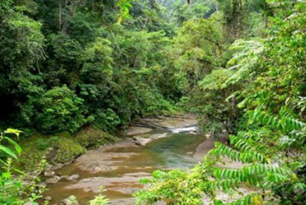 barbilla-parque-nacional-costa-rica-400x260