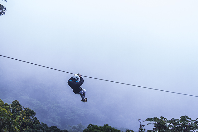 canopy