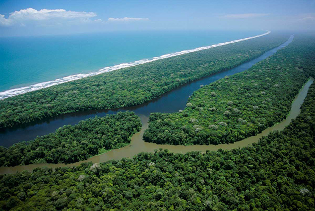 tortuguero