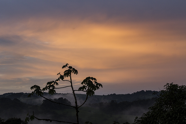 amanecer-ramita