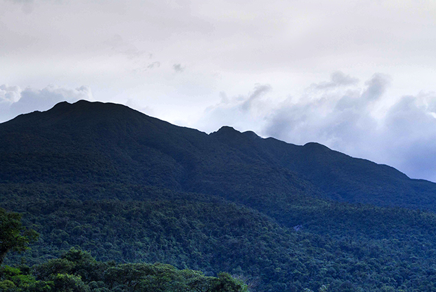 volcan-tenorio